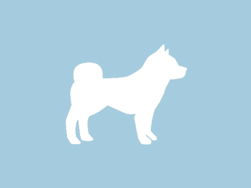 dog-banner